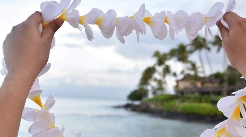 Hawaiian "Lei" portrays the symbol of pure love. This is taken at Napili Kai Beach Resort, in Maui. Highly recommended for snorkeling. #lifeatexpedia