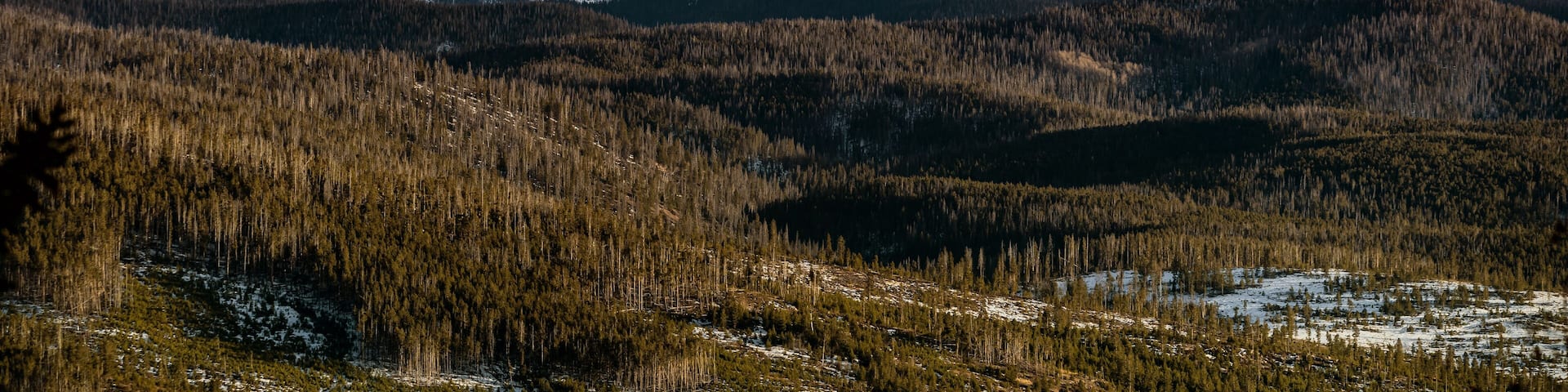 View of white peaks of the Rock Mountains in Colorado near Grand Lake in the USA.