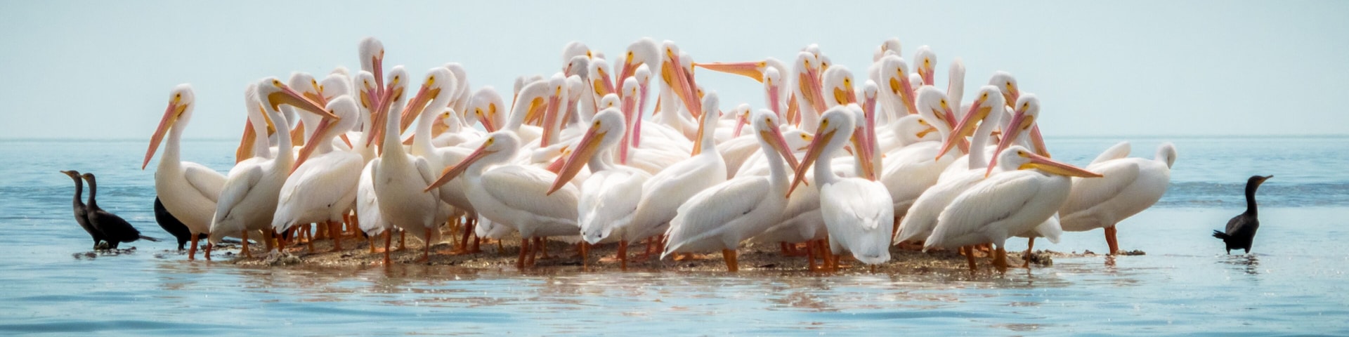 Small Island in the Gulf