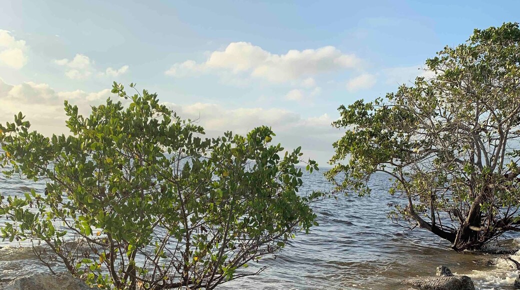 Beautiful view at Ponce De Leon Park In Punta Gorda Florida.
#OnTheRoad #Waterlust