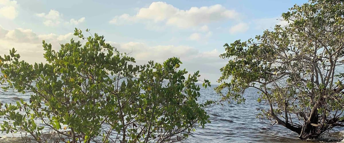 Beautiful view at Ponce De Leon Park In Punta Gorda Florida. 
#OnTheRoad #Waterlust