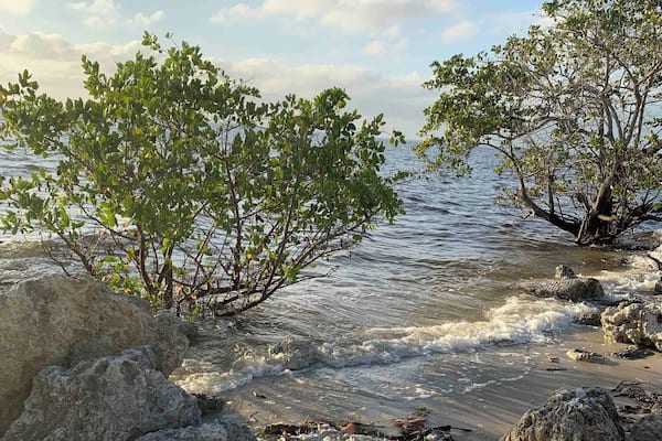 Beautiful view at Ponce De Leon Park In Punta Gorda Florida.
#OnTheRoad #Waterlust