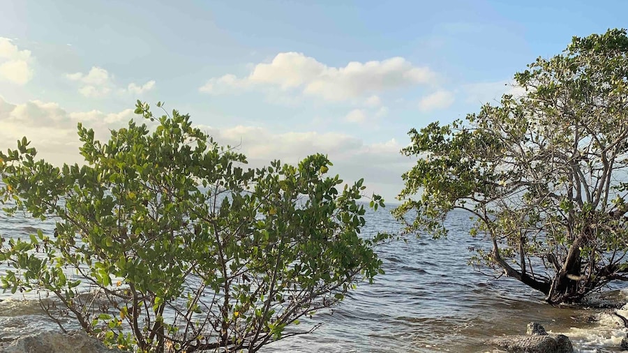 Beautiful view at Ponce De Leon Park In Punta Gorda Florida.
#OnTheRoad #Waterlust