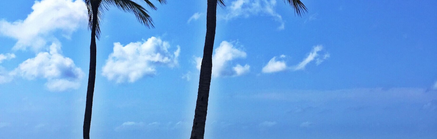 A serene spot where you can enjoy the view any time of the day but especially to watch the sunset at a day's end. On Aruba you can see the #blue skies from everywhere on the island but the best spots are the ones on the beach to capture the crystal #blue waters combined with the sky and white sandy beaches.