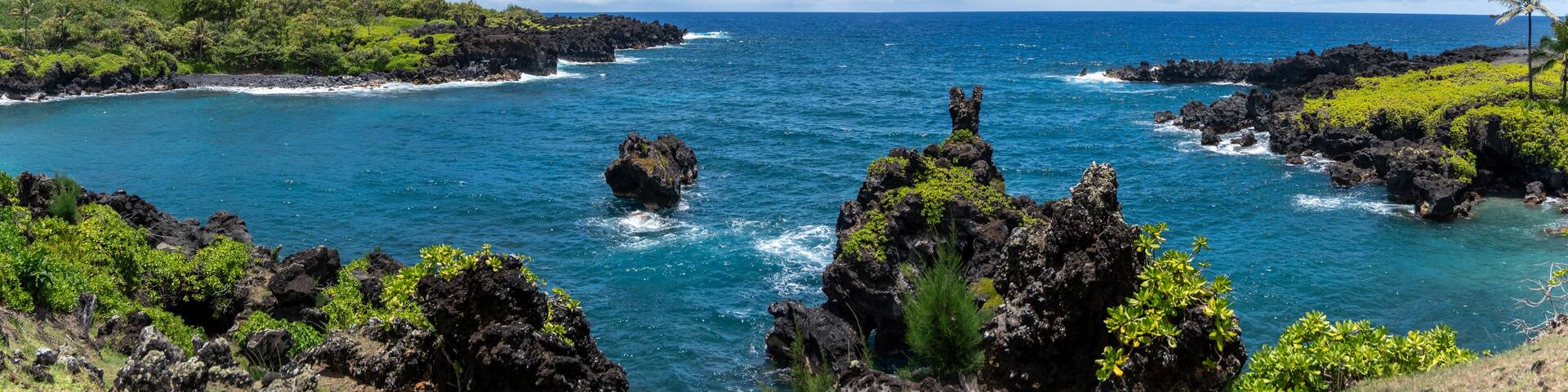 Panoramic view of a rocky coastline with lush vegetation and turquoise water under a blue sky.