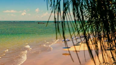 Una playa con agua turquesa cristalina, una orilla arenosa y algunos sombrillas y sillas.