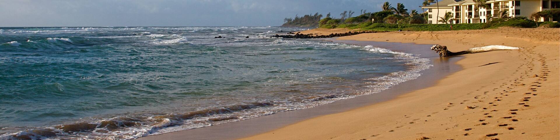 Tropical Hawaiian beach and crashing waves on the island