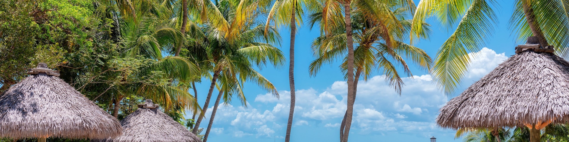 Palm trees and umbrellas in beautiful beach in tropical island resort, Key Largo. Florida