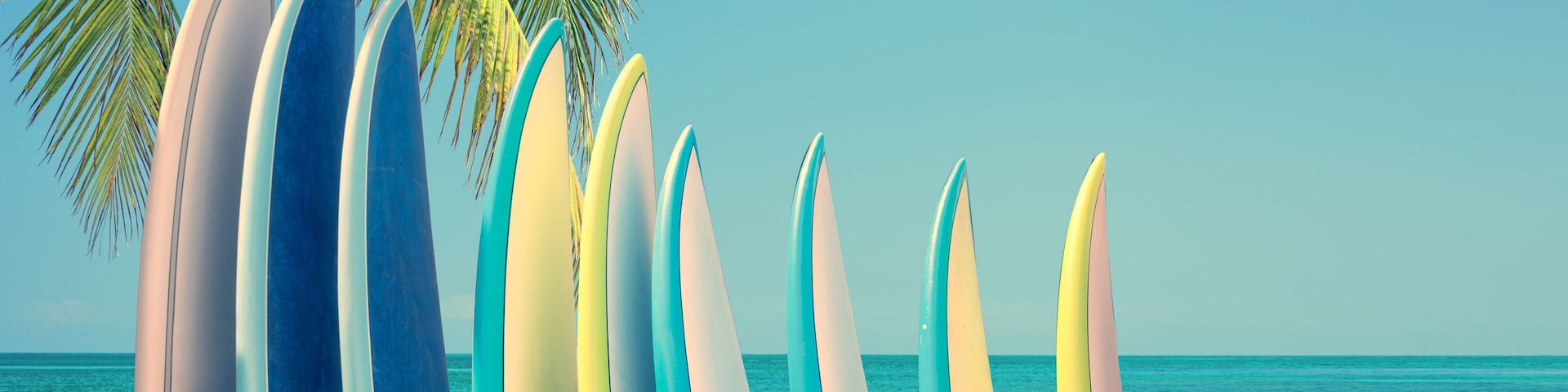 Eine Reihe bunter Surfbretter, die an einer Palme am Meer lehnen.