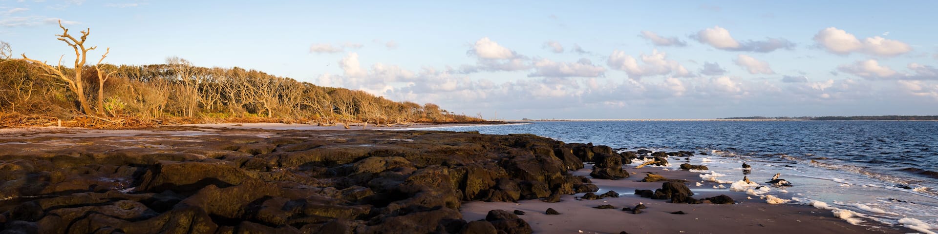 Beautiful morning at Black Rock Beach on Talbot Island in Jacksonville, FL