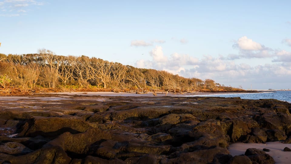 A rocky shoreline with sparse vegetation and a clear sky.