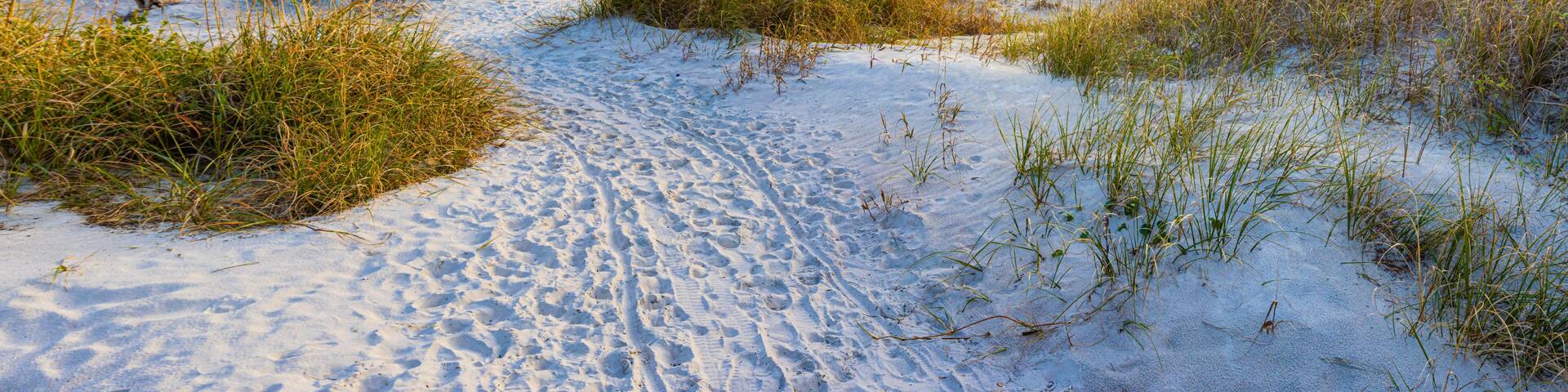 Path Through The Dunes to East Beach, Fort Clinch State Park, Amelia Island, Florida, USA