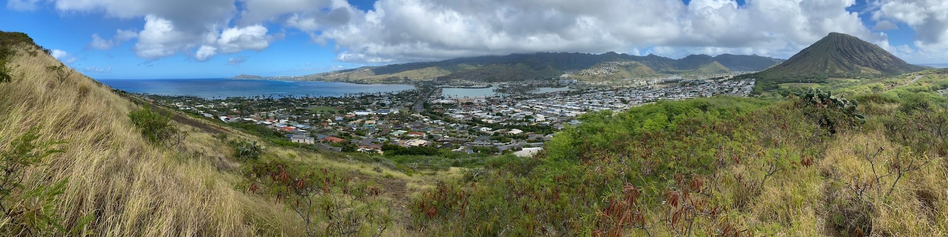Panoramas of the Banyan trees and shorelines of Oahu