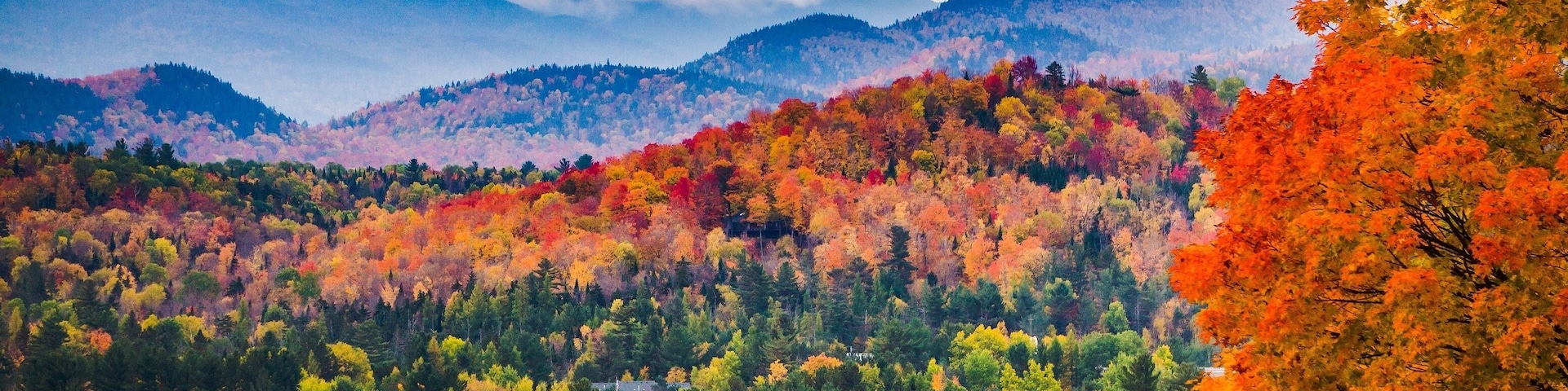 Peak Fall Colors in New England