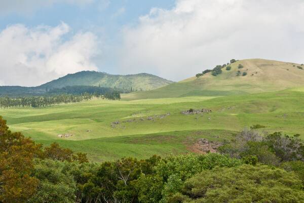 Hills of Waimea