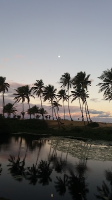 Pôr do sol sobre um lago calmo, refletindo palmeiras e um céu limpo.