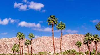 ์ ํ์ธ์ค ๋น๋ฆฌ์ง