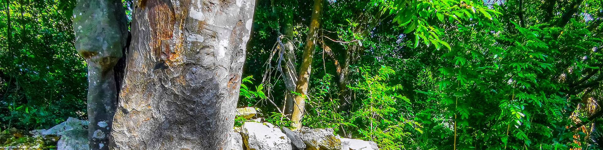 Xaman Ha Maya Ruins archeological site Playa del Carmen Mexico.