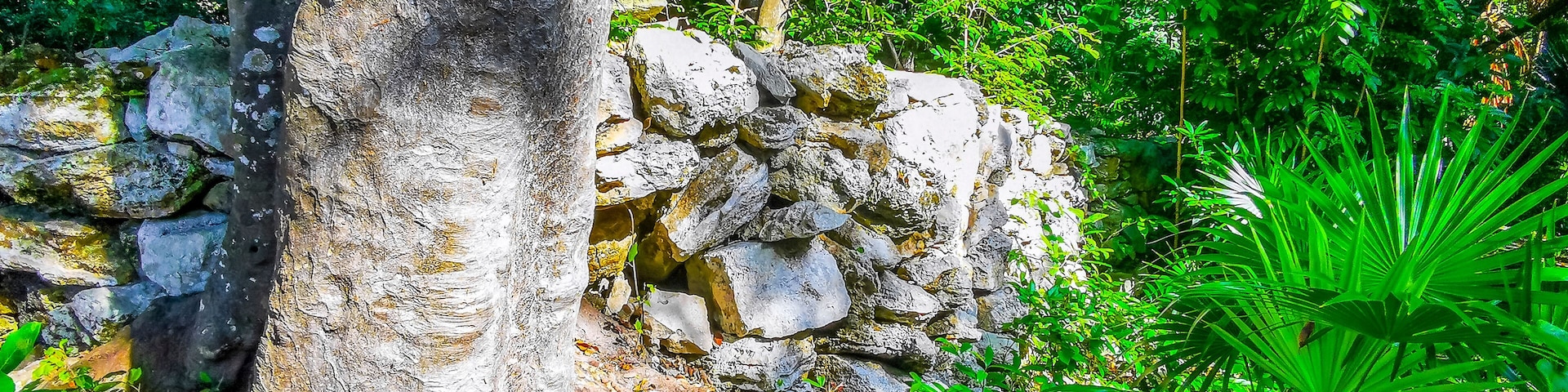 Xaman Ha Maya Ruins archeological site Playa del Carmen Mexico.