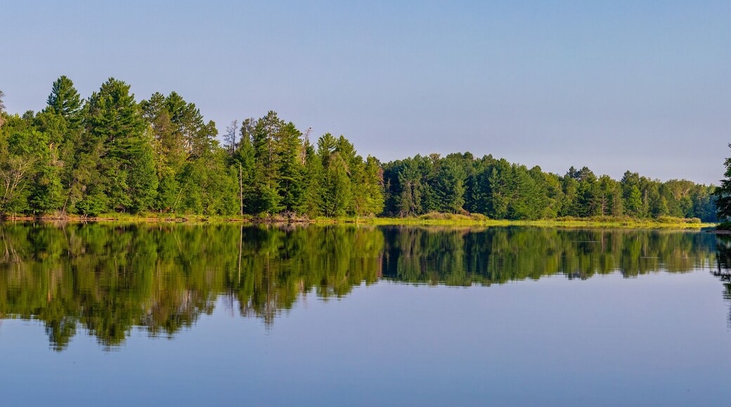 A calm lake with dense forest reflecting on the water's surface.