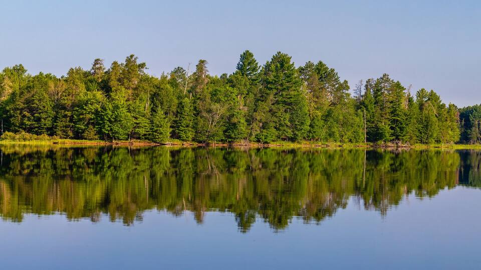 A calm lake with dense forest reflecting on the water's surface.