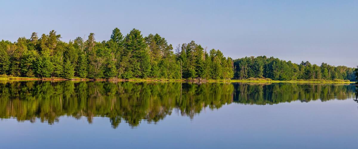 A calm lake with dense forest reflecting on the water's surface.