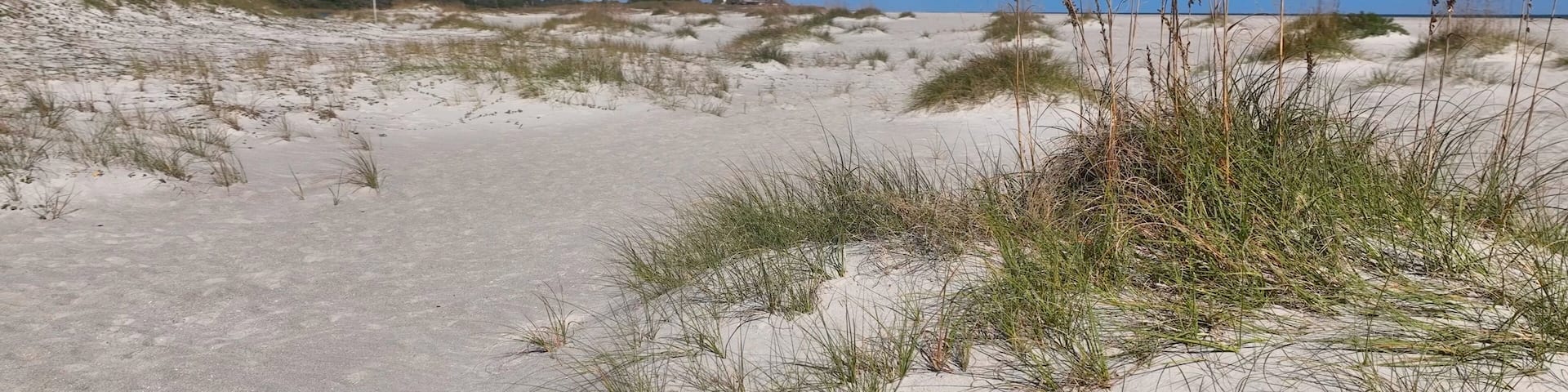 Beach sand with sea oats growing on South Carolina coastal shoreline at Pawleys Island, SC destination for tourist for relaxing under warm sunshine and enjoying quiet beach walks by the ocean