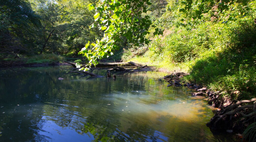 Racoon Creek, Vinton County, Ohio