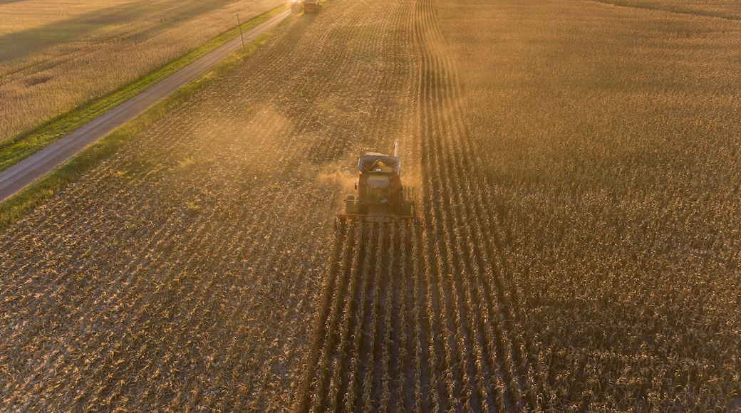 ๋ง๋ฆฌ์จ ์นด์ดํฐ