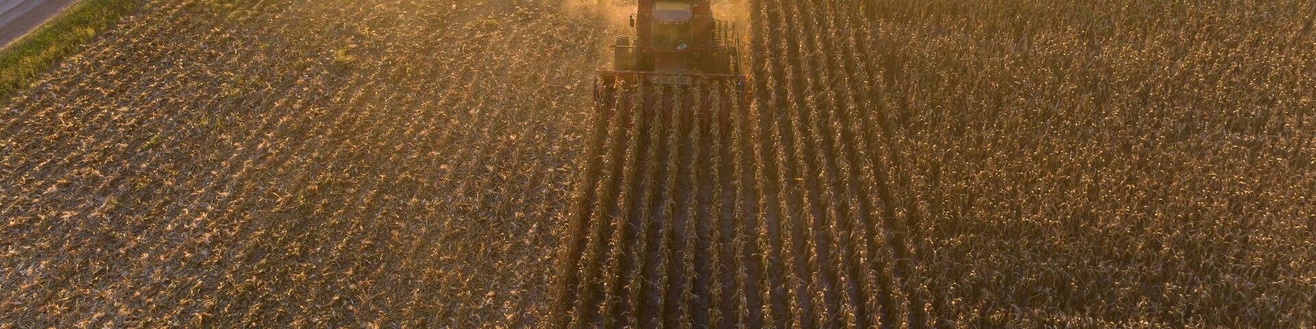 Aerial view of combine harvesting corn field at sunset, Marion County, Illinois