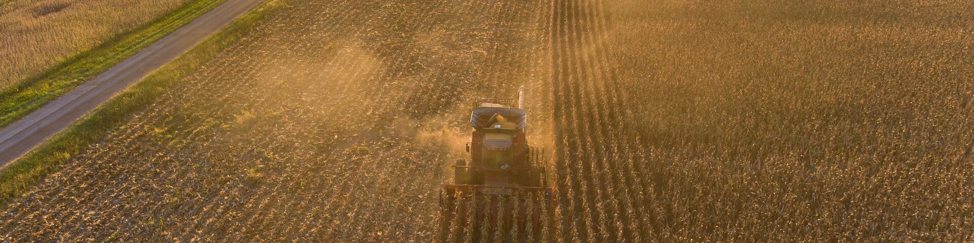 Aerial view of combine harvesting corn field at sunset, Marion County, Illinois