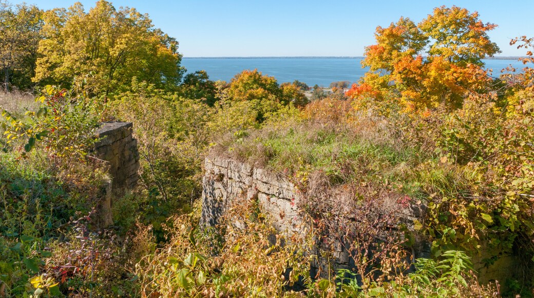 Niagara Escarpment in fall, overlooking Lake Winnebago, High Cliff State Park, WI.