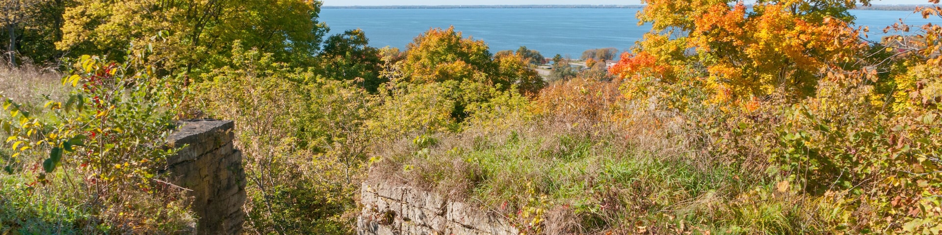 A coastal landscape with autumn foliage, a stone wall, and a clear view of the sea.