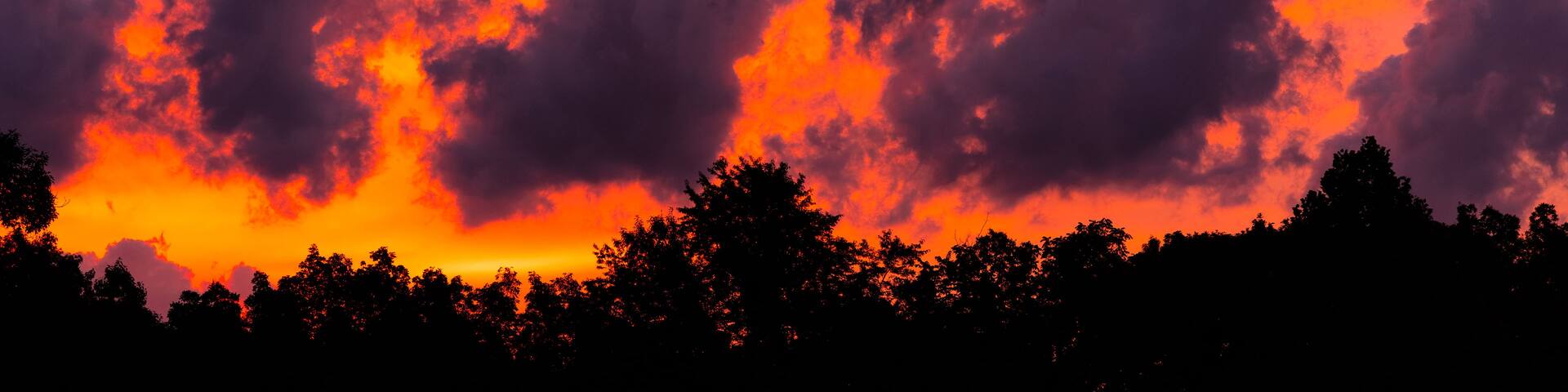 A sunset with vibrant orange and pink hues, scattered clouds, and silhouetted trees.
