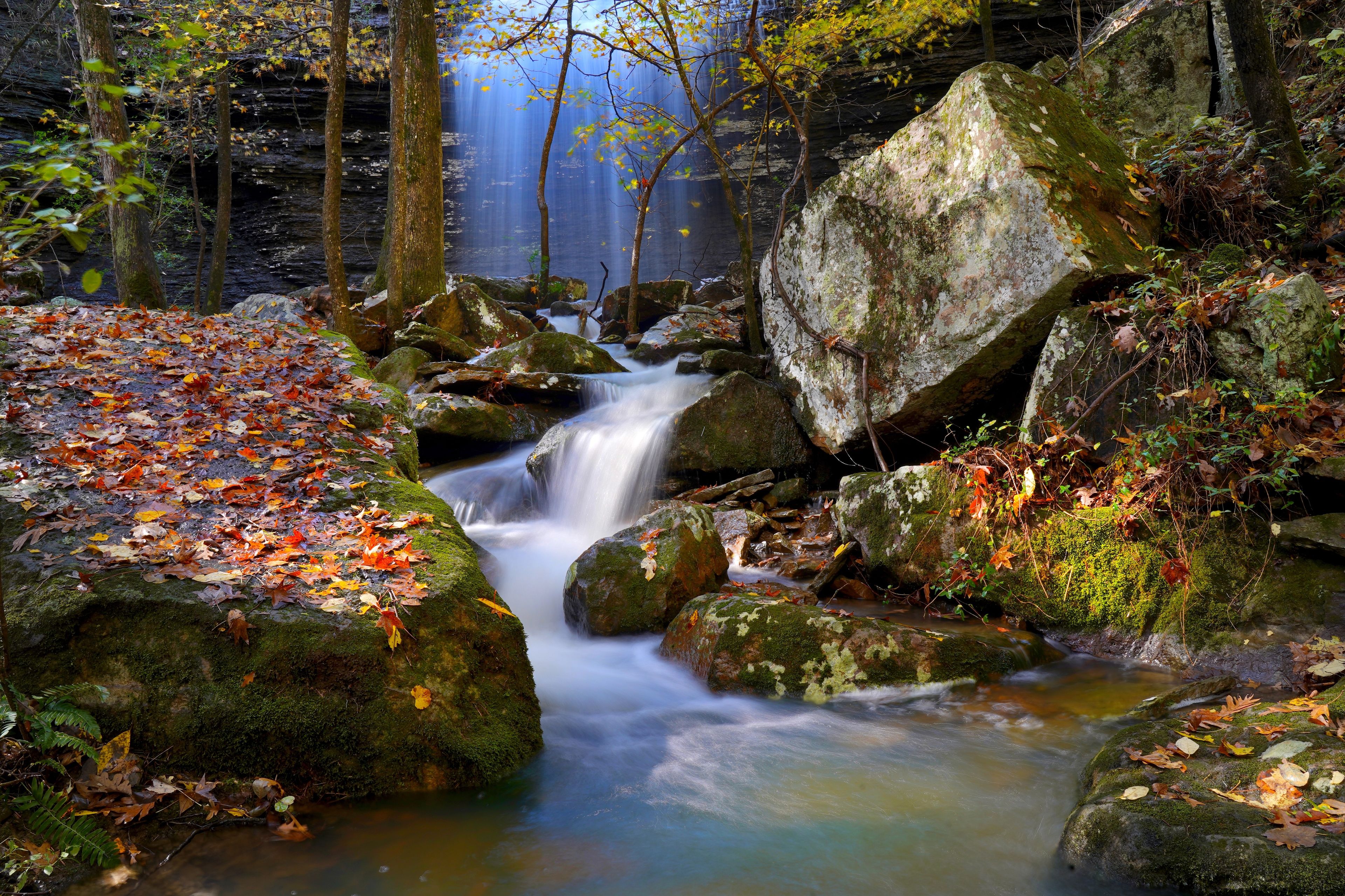 Un arroyo en el bosque con rocas y hojas otoñales.