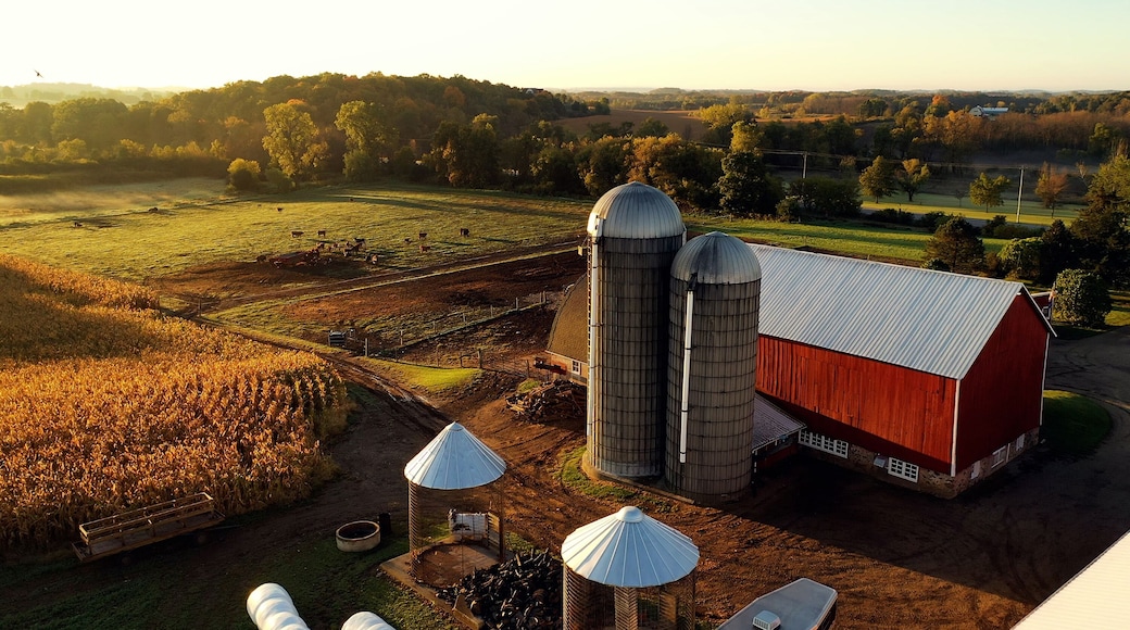 Countryside scenery at Fall season. Autumn colors. Harvest, harvesting time. Rural landscape. Aerial, view from above of the Farm