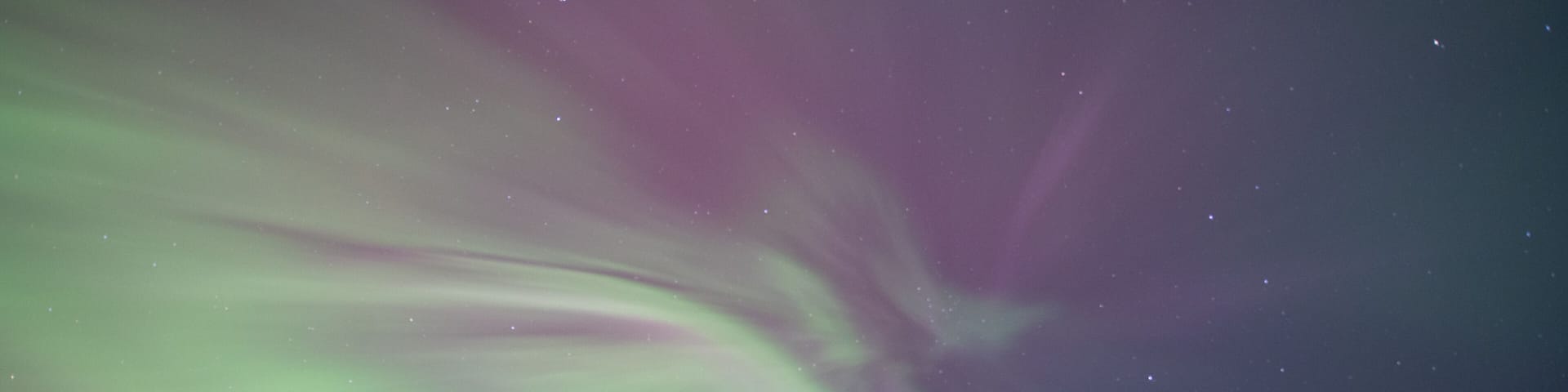 The Northern Lights (Aurora Borealis) over a forested landscape.