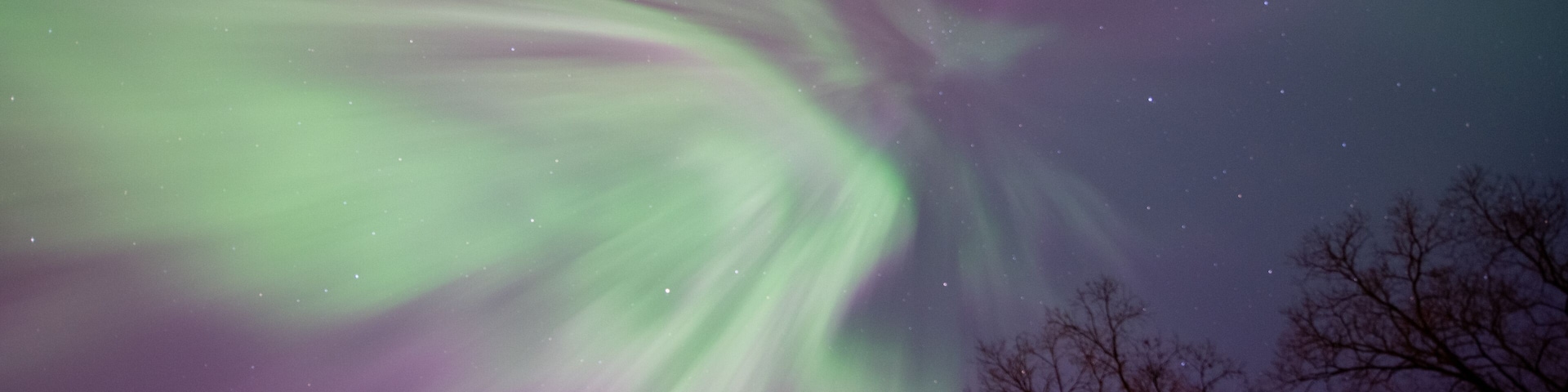 The Northern Lights (Aurora Borealis) over a forested landscape.