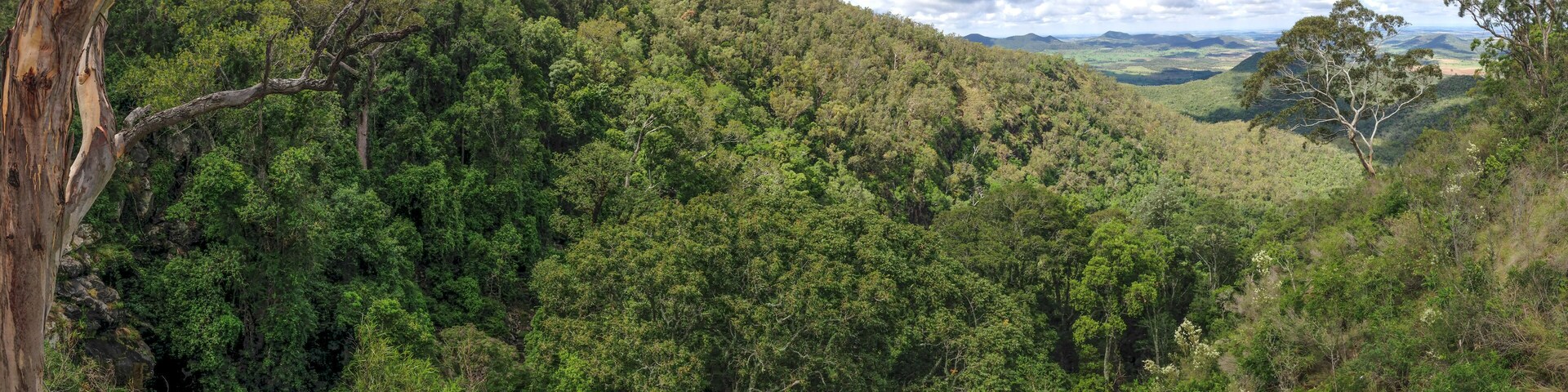 Bunya Mountain view