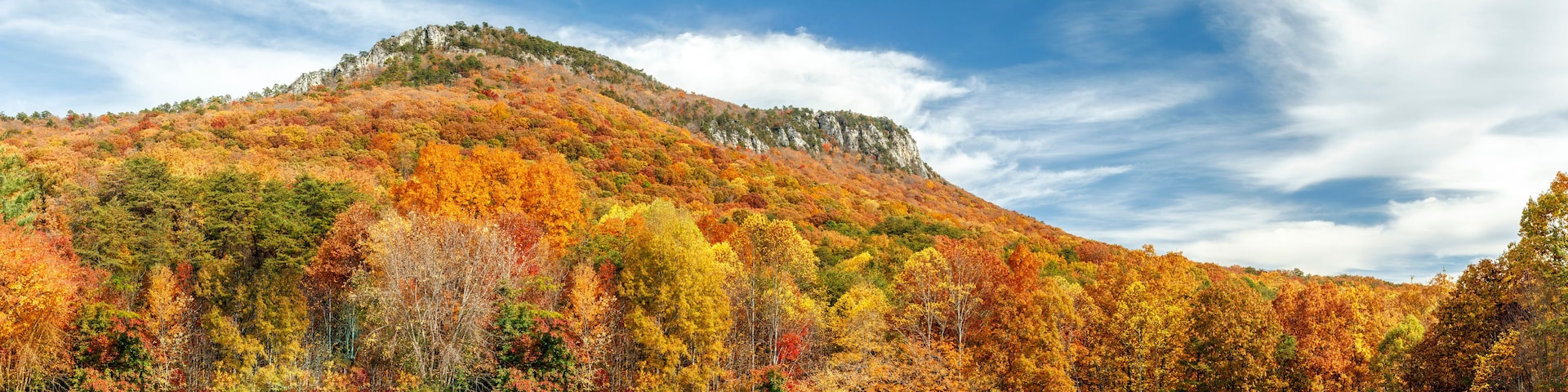 Ein Berg mit Herbstlaub, ein klarer Himmel und ein grasiger Vordergrund.