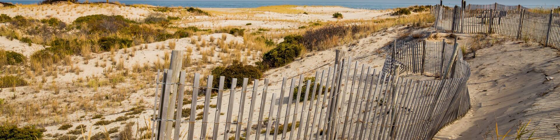 A sandy beach with a wooden fence and dunes.