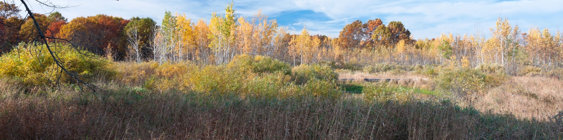 Woodlands and Fields of Necedah Refuge