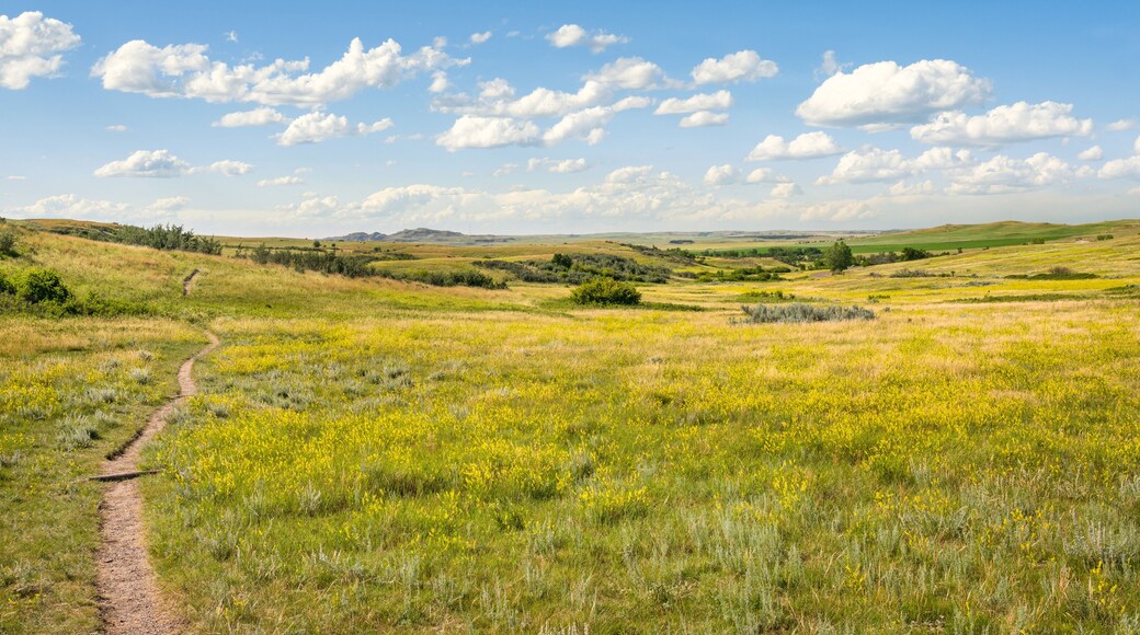South Achenbach Trail at Oxbow Overlook in the Theodore Roosevelt National Park - North Unit on the Little Missouri River - North Dakota Badlands - Prairie
