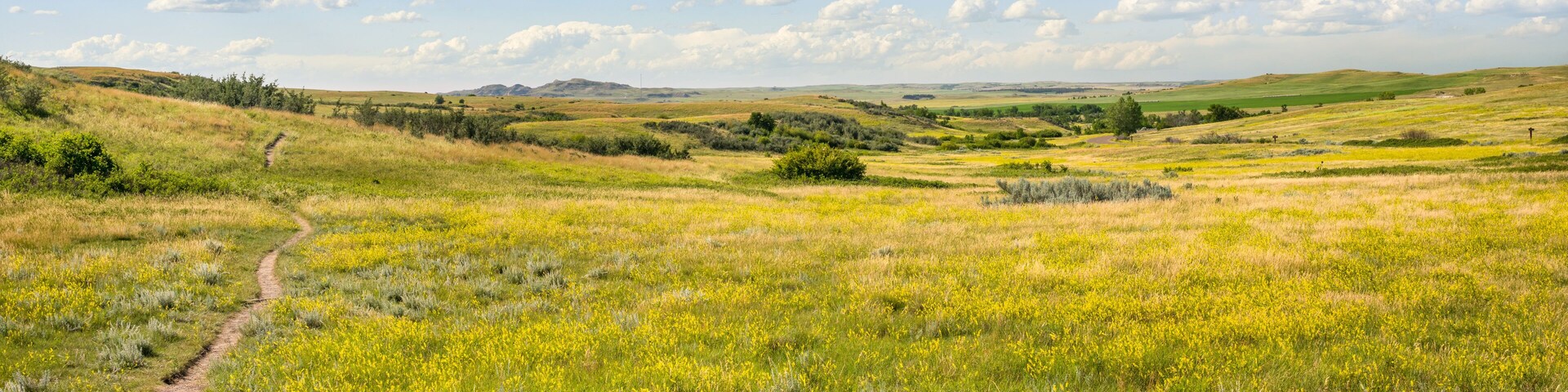 South Achenbach Trail at Oxbow Overlook in the Theodore Roosevelt National Park - North Unit on the Little Missouri River - North Dakota Badlands - Prairie