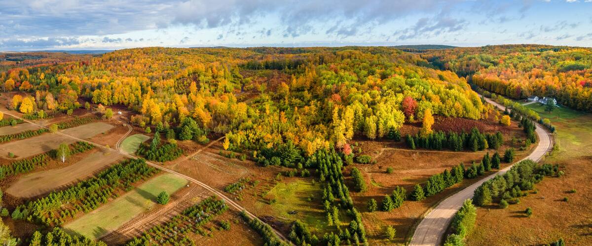 A vast forest with autumn foliage, winding roads, and open fields.