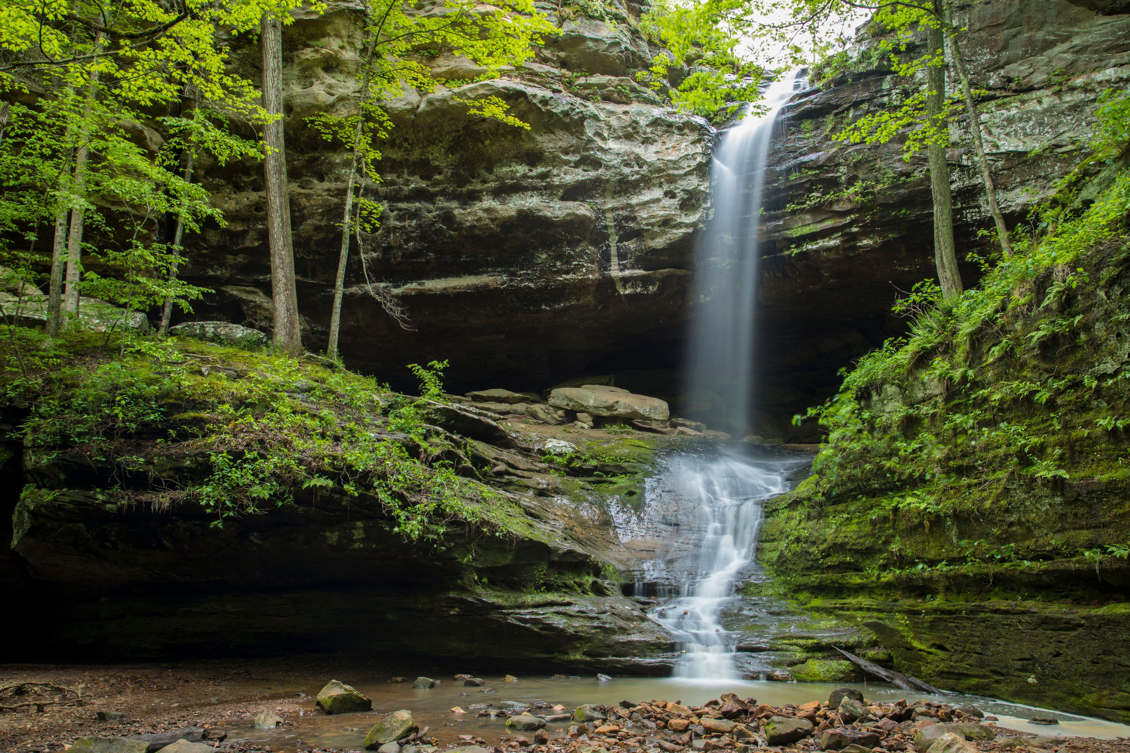 A waterfall in a forested area with rocky terrain and lush greenery.