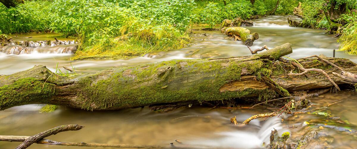 Photographed in Decorah, Iowa.