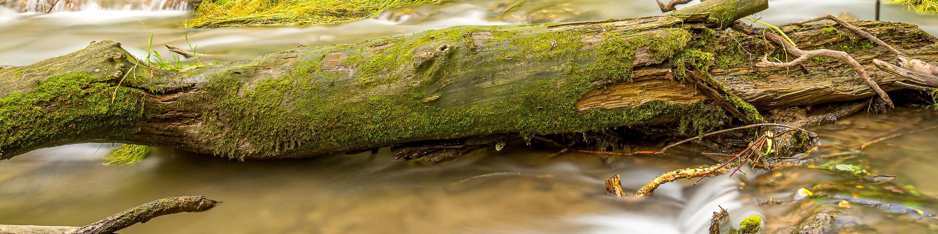 Photographed in Decorah, Iowa.