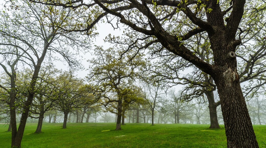 Condado de Pocahontas