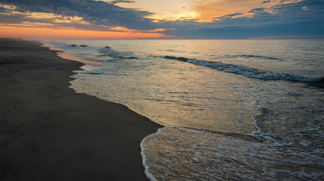 The Coast at Chincoteague National Wildlife Refuge